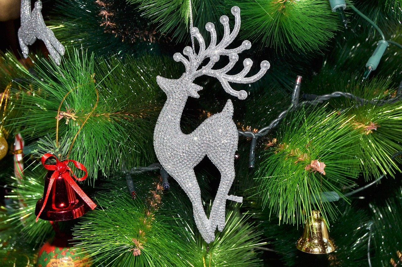 New Jersey Injury attorneys